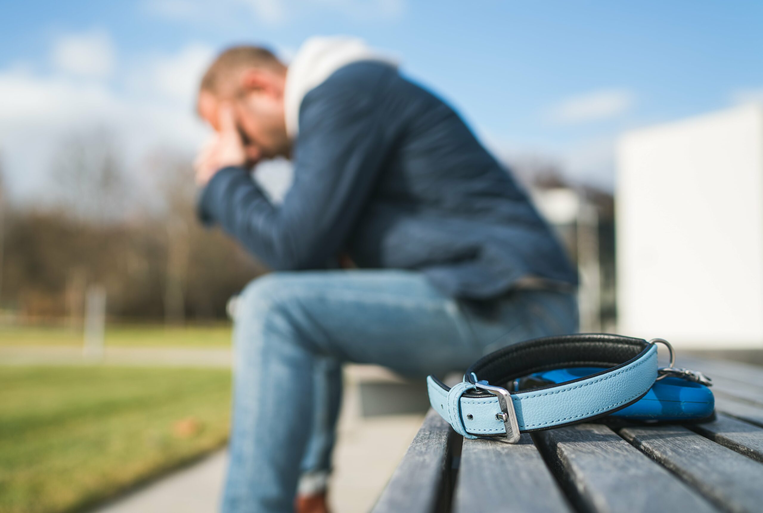 A man sits on a bench with his head in his hands; a blue dog collar lies on the bench in the foreground.