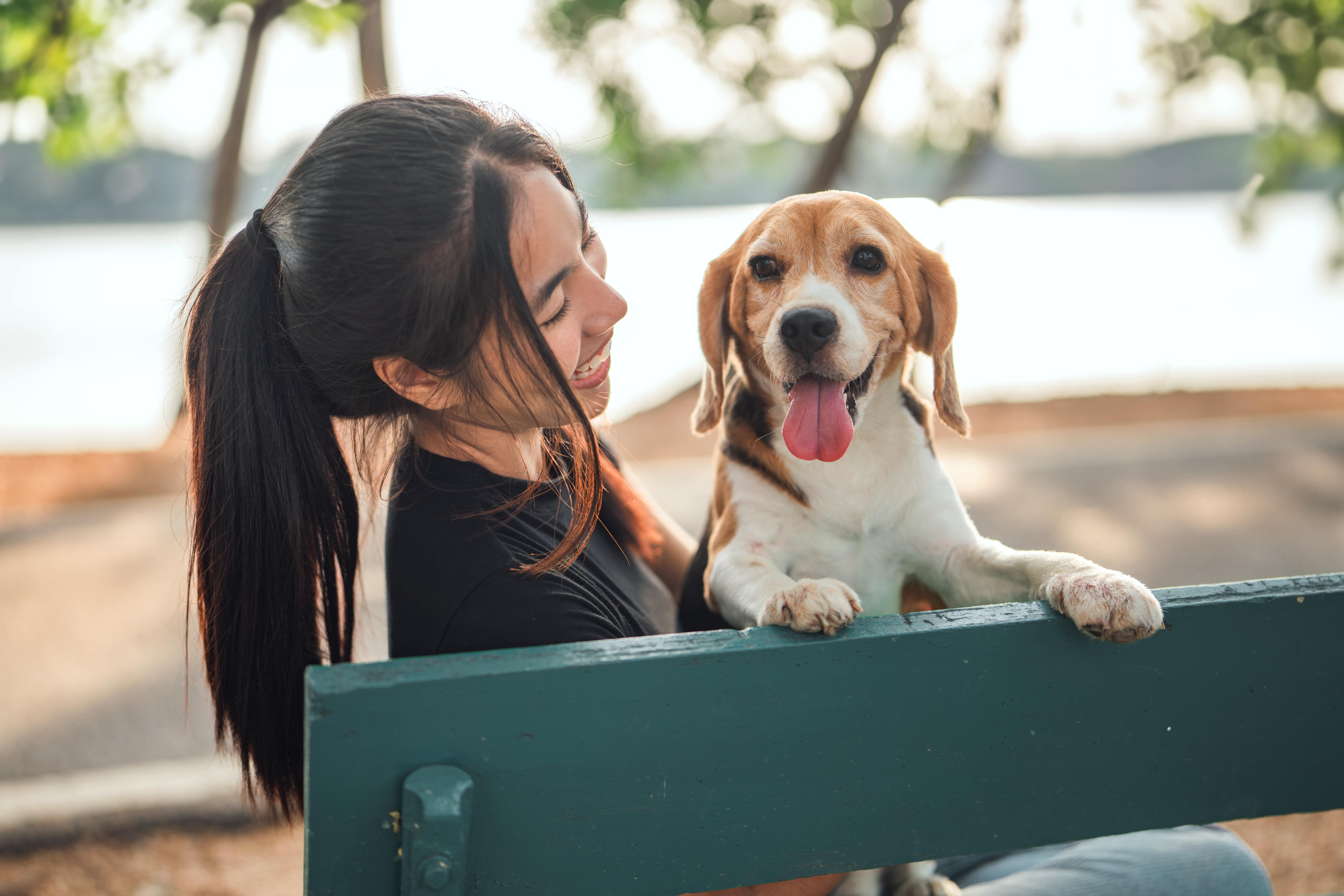 A woman with long dark hair sits on a bench, smiling at a beagle dog with its front paws on the backrest. In this tranquil setting of blurred trees and water, she enjoys the moment, knowing it's a preventative measure for stress.