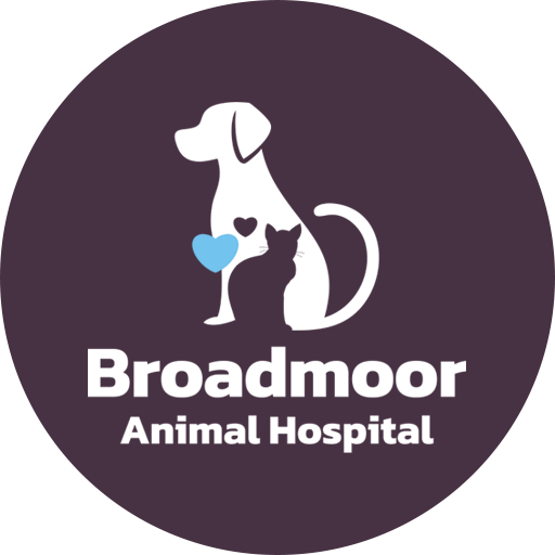 Logo of Broadmoor Animal Hospital featuring silhouettes of a dog and cat with heart icons, on a dark purple background.